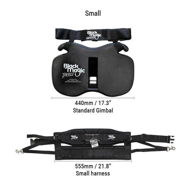 GIMKITJ_Original_Small_dimensions_2021_web