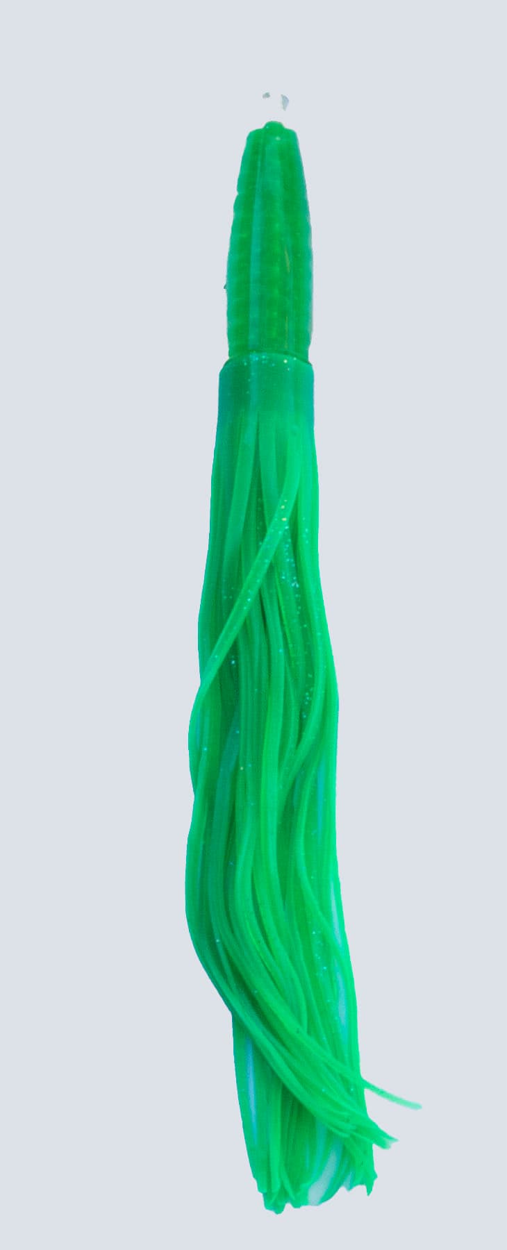 Squid-05