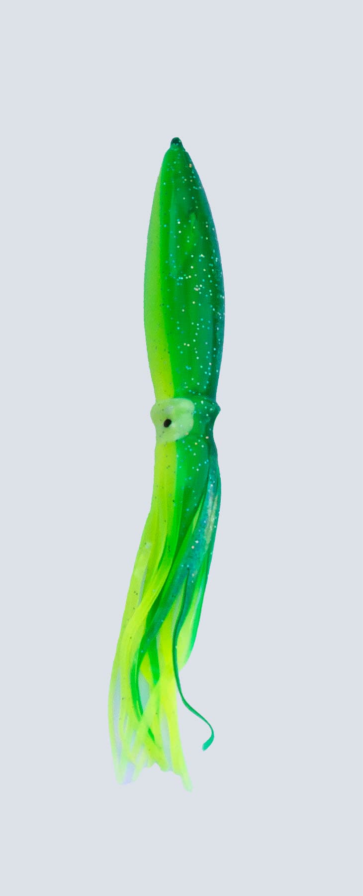 squid-00