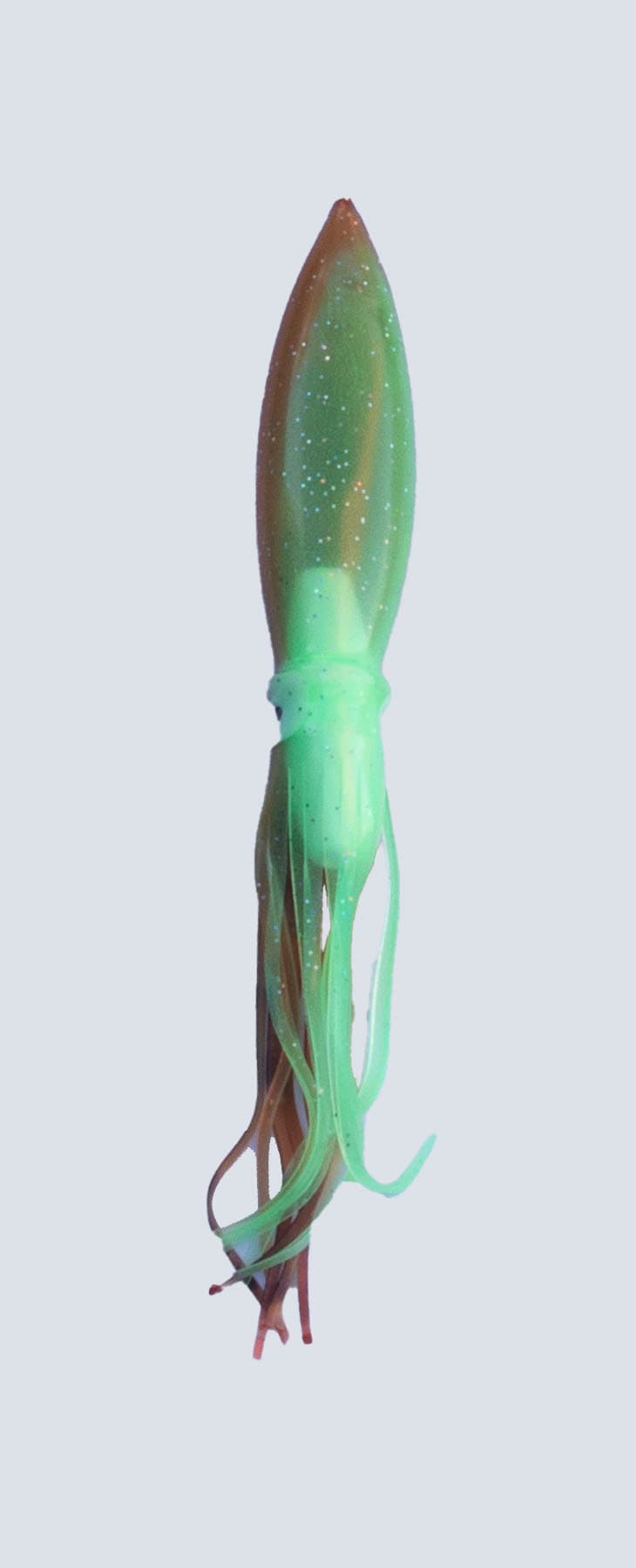 squid-02