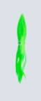squid-04