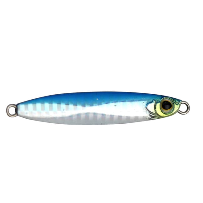 blue-sardine-4.jpg