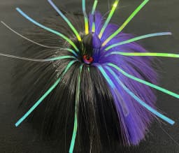 BLACKPurple-1.webp