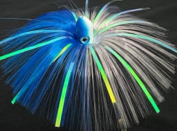 BLUEWHITE-1.webp