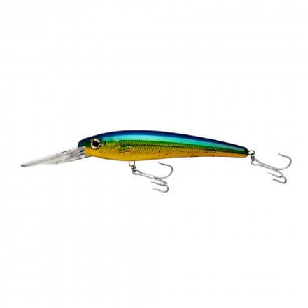 Holo_Dorado-1.webp