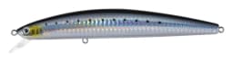 Laser-Sardine-1.webp