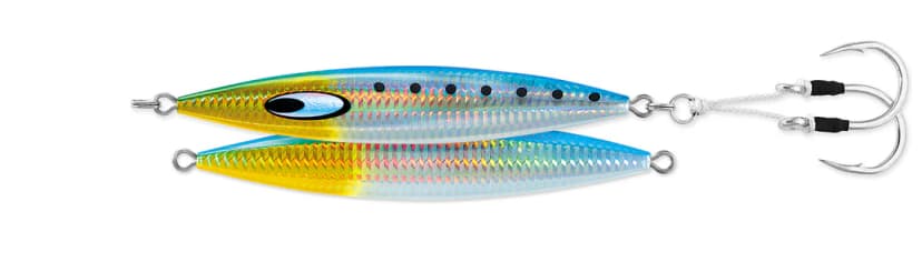Sardine-6.webp