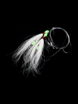 WHBUCK-1.webp