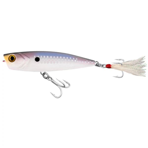 baitfish.webp