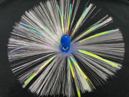 blue-head-crystal-1.webp