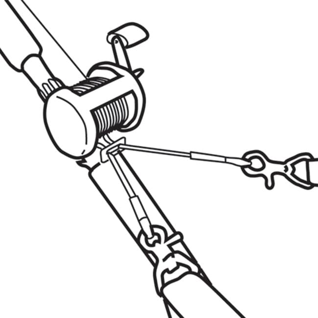 ltadapt_illustration_web_2021-1.jpg