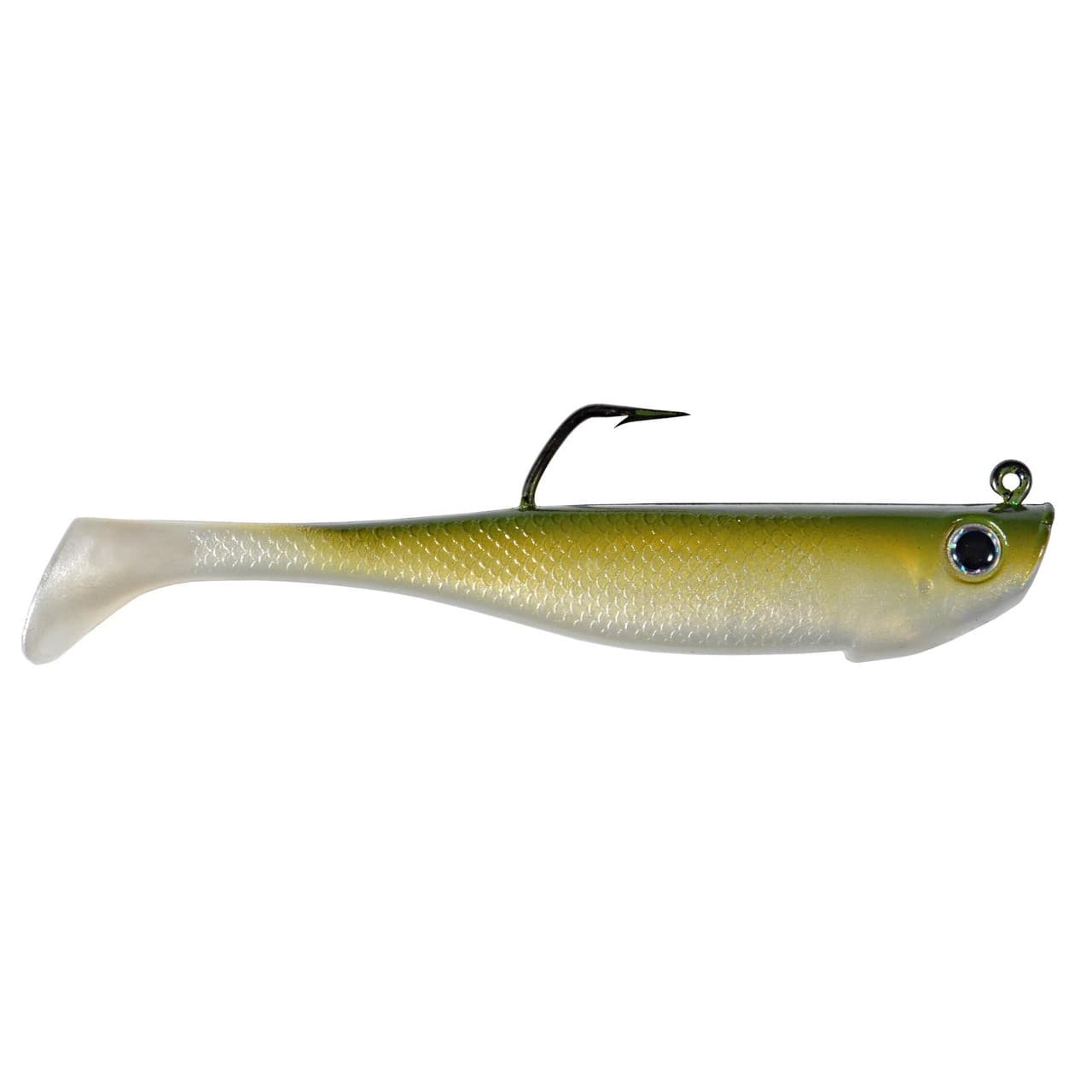 olive-6.jpg