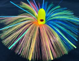 rainbow-1.webp
