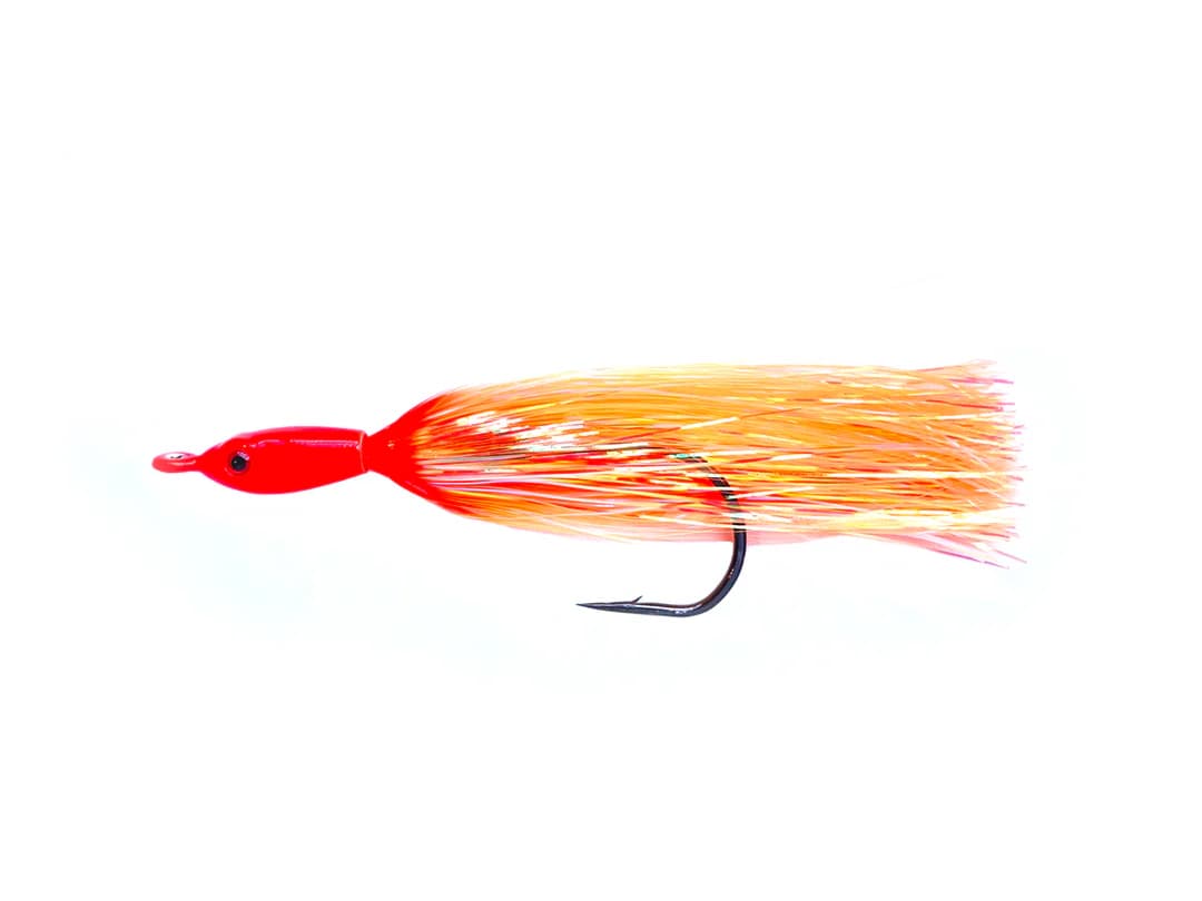 salmon.webp