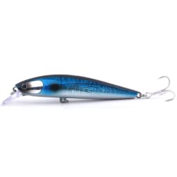 Tidalus6PacificFlyingFish1000x1000-1.webp