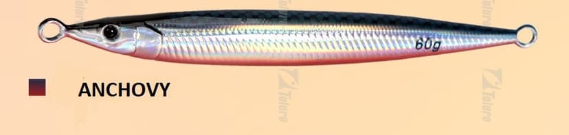 anchovy-1.jpg