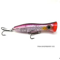 CHE004RASPBERRYICE.jpg